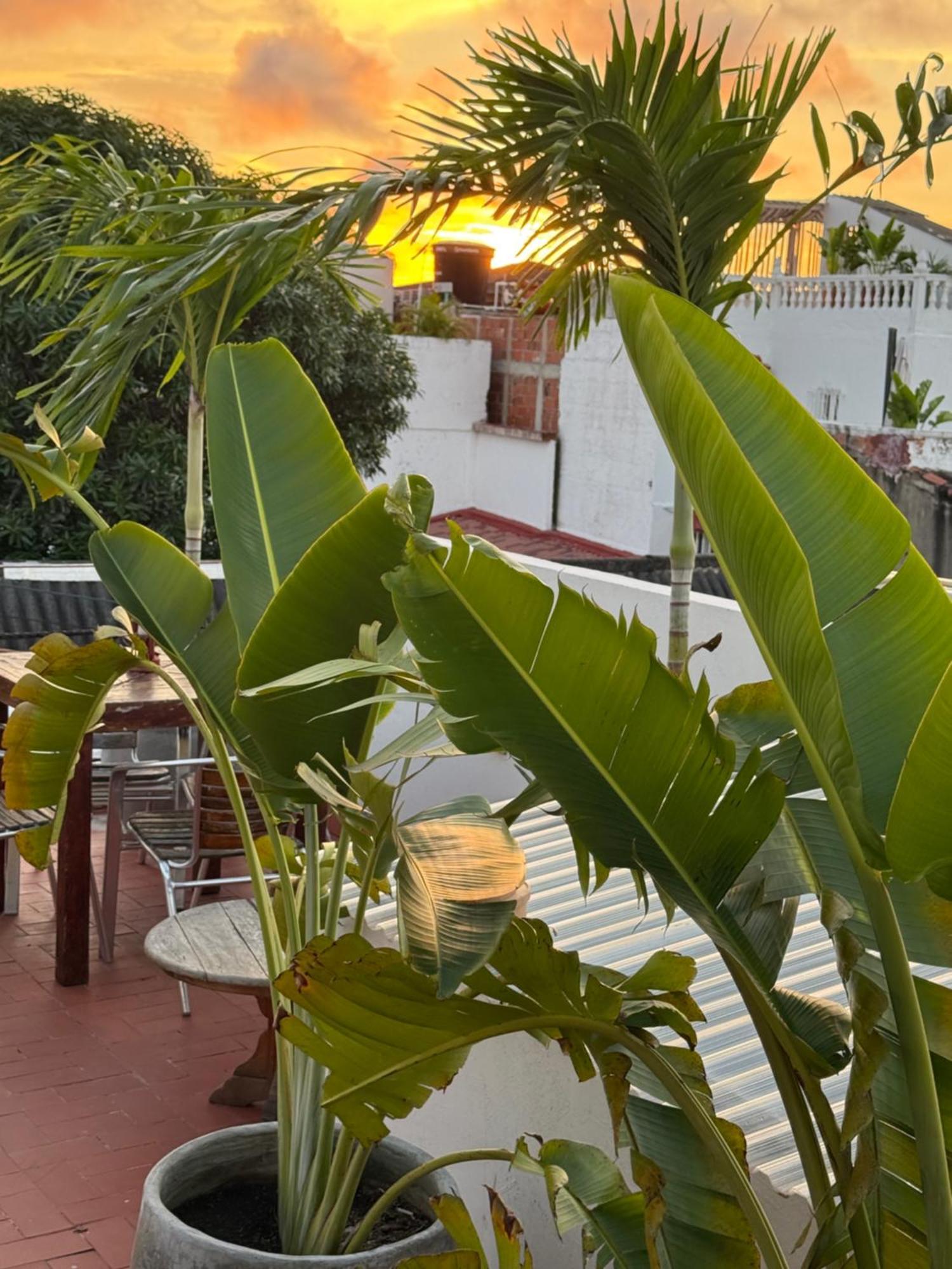 Pachamama Hostel Картахена Экстерьер фото
